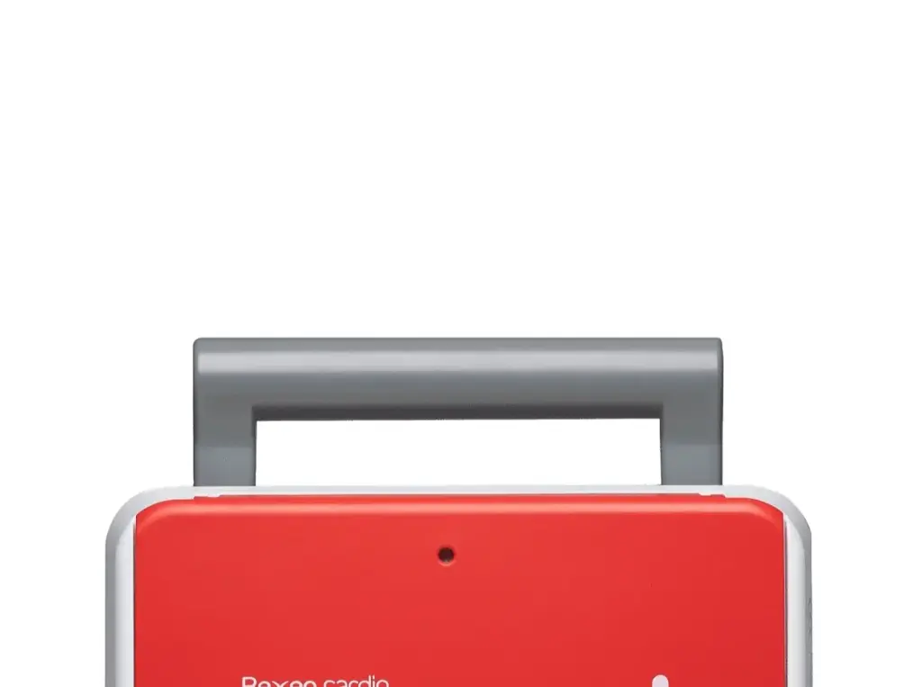  Asa de transporte original REANIBEX-100